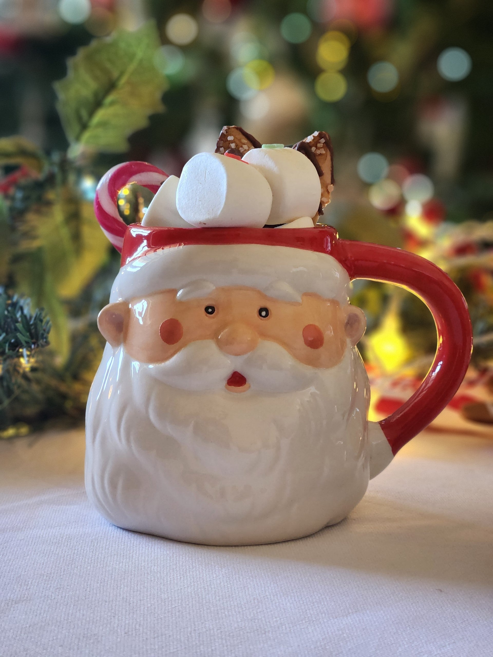 Father christmas shops mug